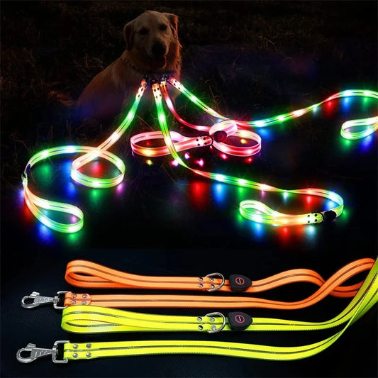 Led Dog Leash