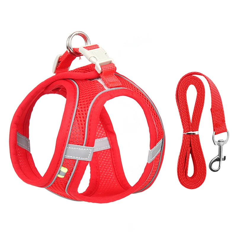 Dog Harness and Leash Set for Small Dogs and Cats