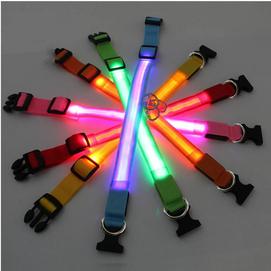 led dog collar