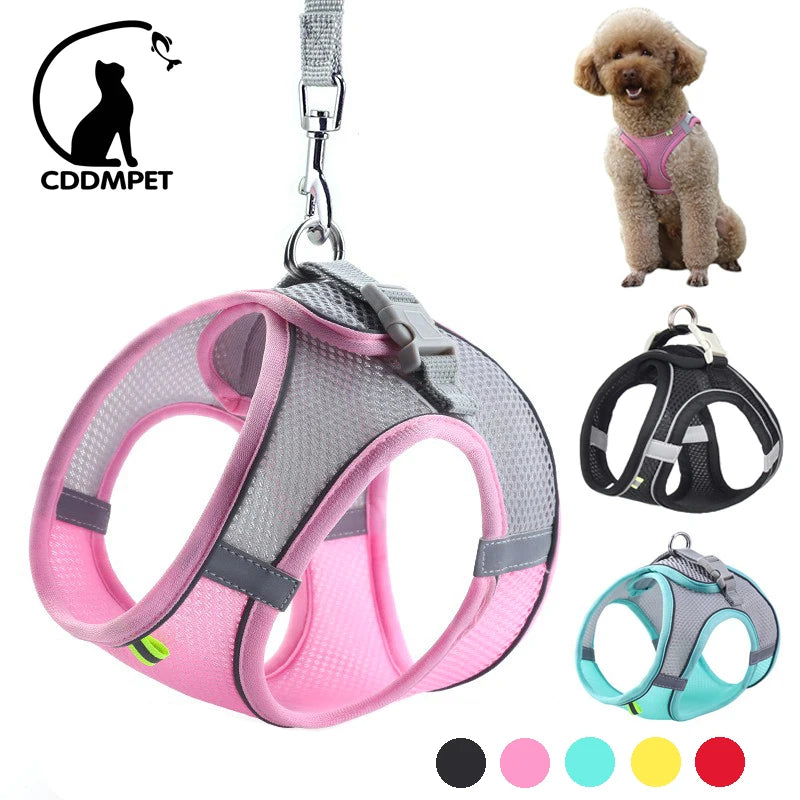 Dog Harness and Leash Set for Small Dogs and Cats